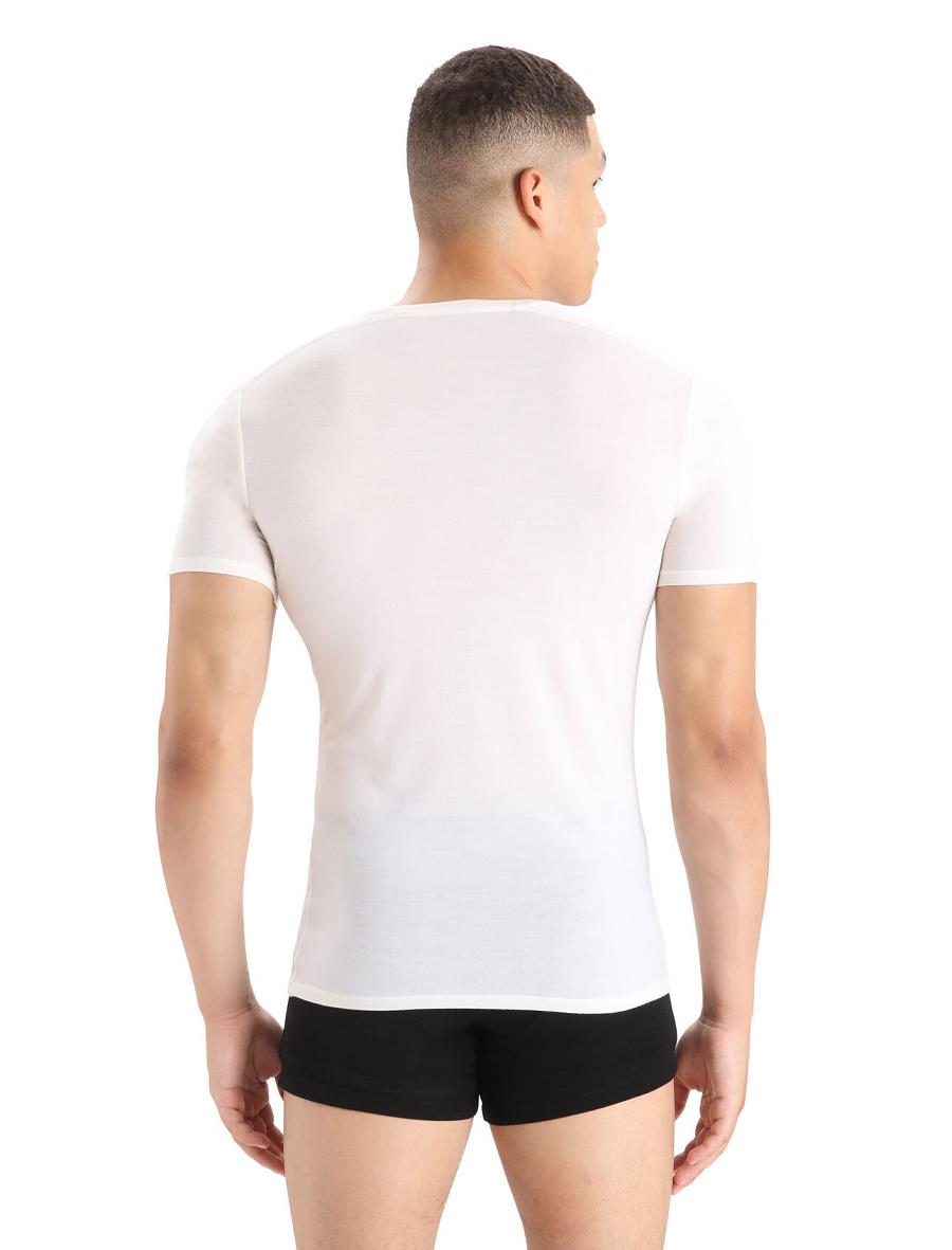 Men's Icebreaker Merino Anatomica Short Sleeve V Neck T-Shirt Underwear Snow | CA 1653QMAZ